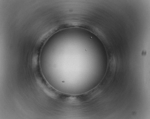 X0000113260406200909171654