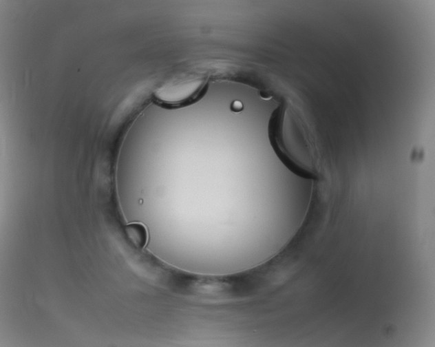 X0000113260407200909171654