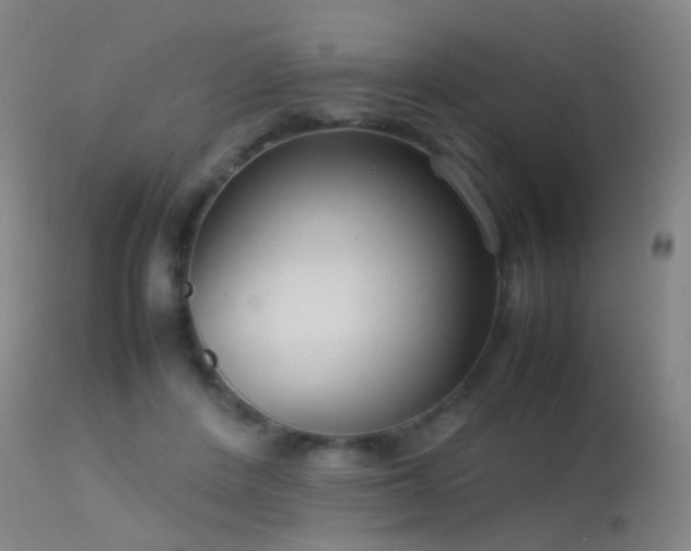 X0000113260408200909171654