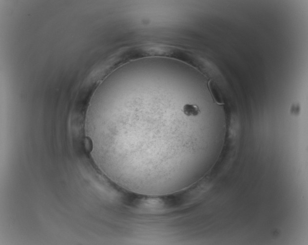 X0000113260409200909171654