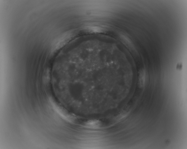 X0000113260410200909171654