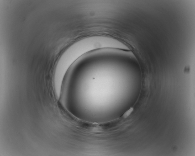 X0000113260411200909171654