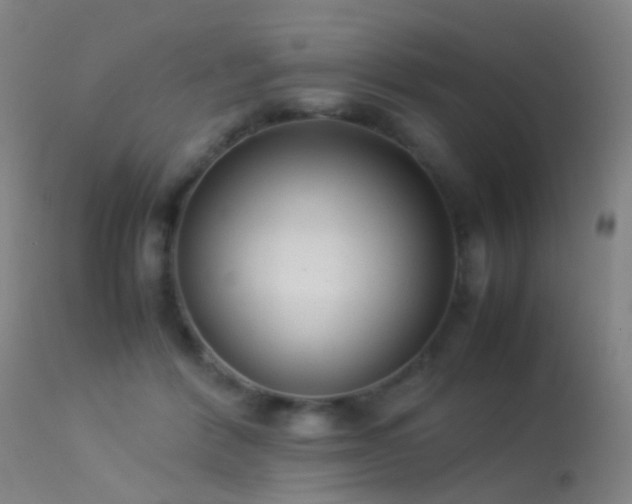 X0000113260412200909171654