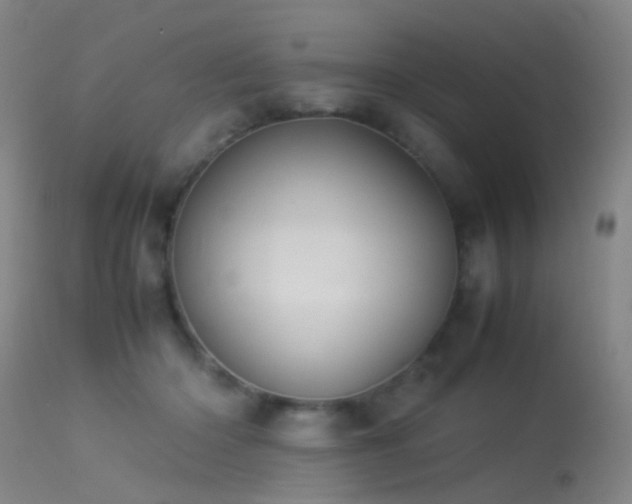 X0000113260414200909171654