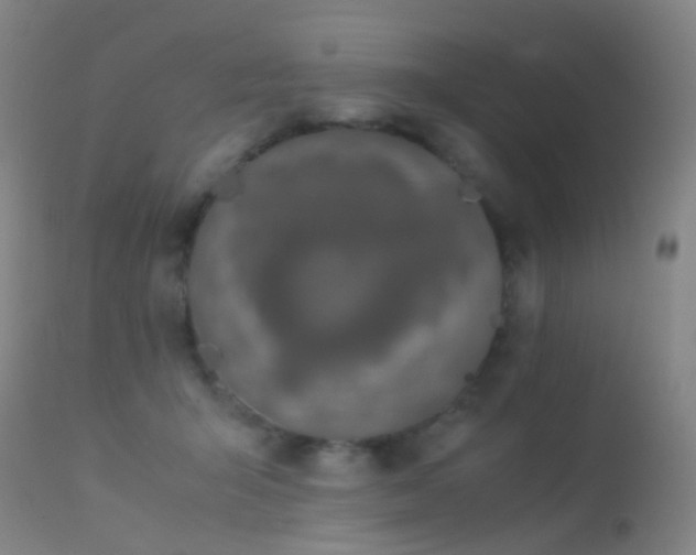 X0000113260415200909171654