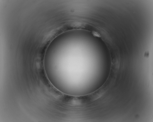 X0000113260416200909171654