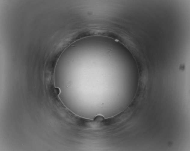 X0000113260417200909171654