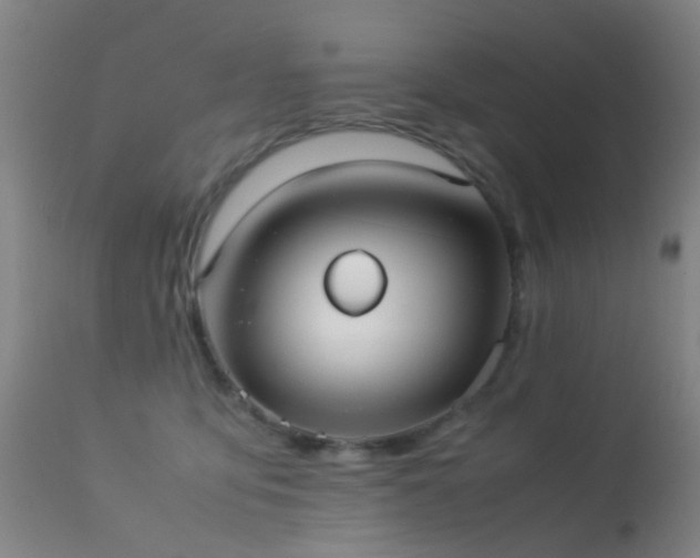 X0000113260419200909171654