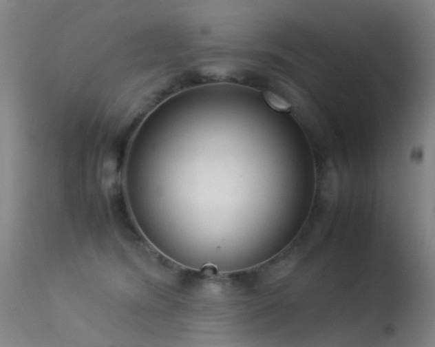 X0000113260420200909171654