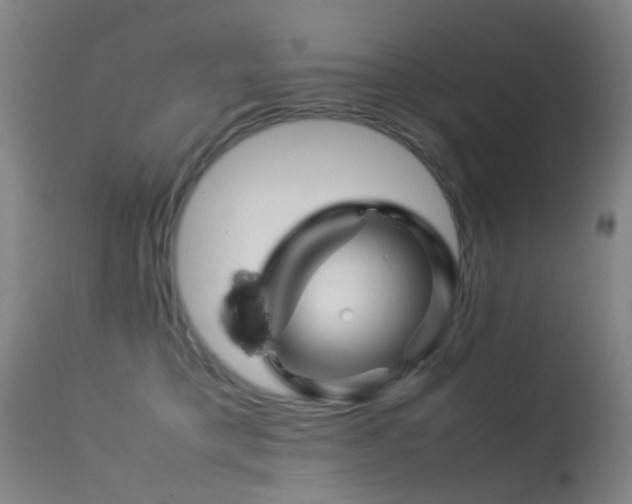 X0000113260421200909171654