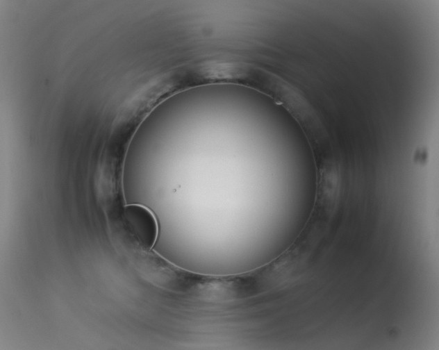 X0000113260422200909171654