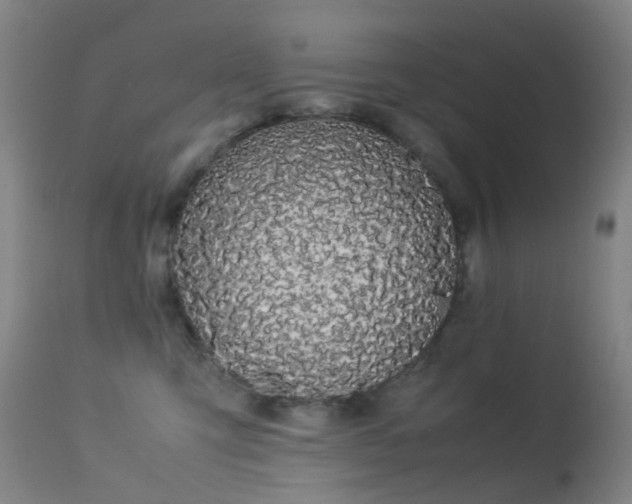 X0000113260423200909171654