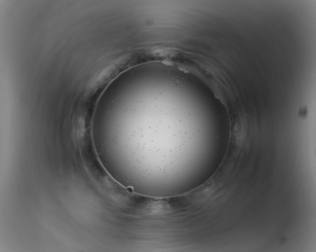 X0000113260424200909171654