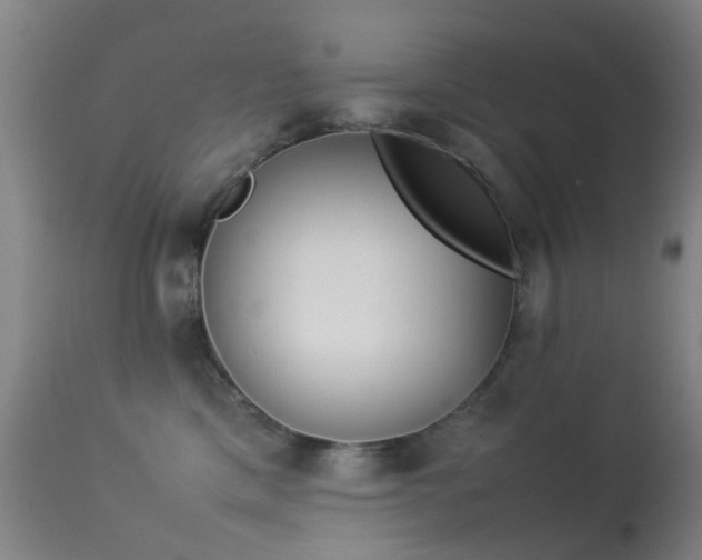 X0000113260425200909171654