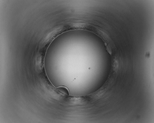 X0000113260428200909171654