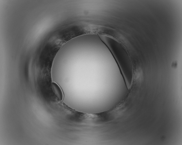 X0000113260429200909171654