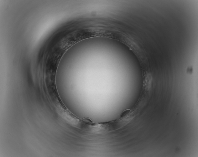 X0000113260430200909171654