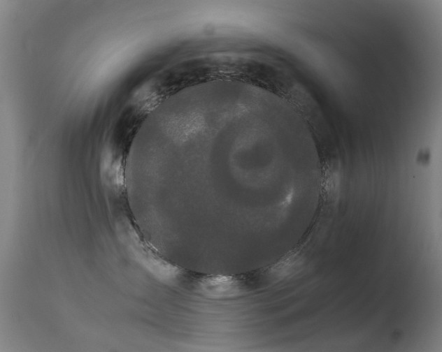 X0000113260431200909171654