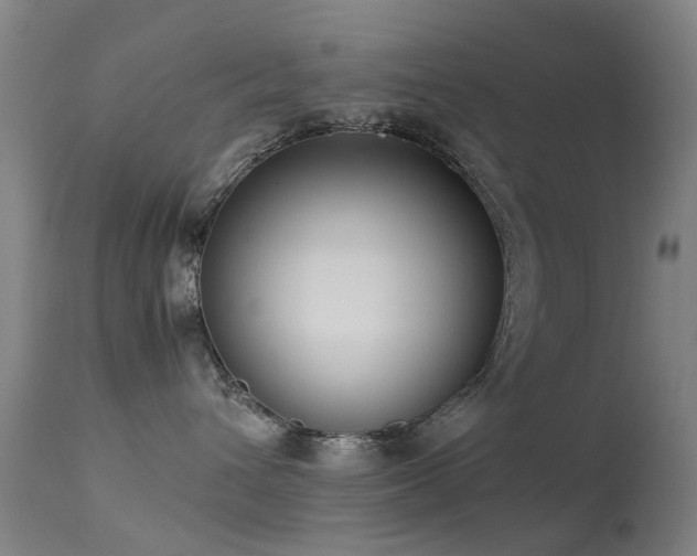 X0000113260432200909171654