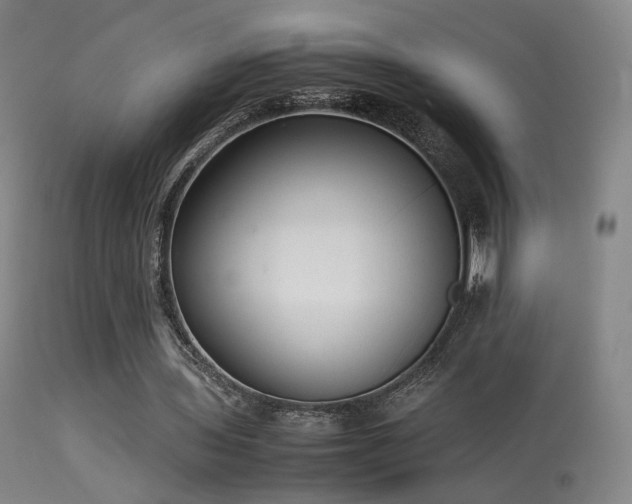 X0000113260435200909171653