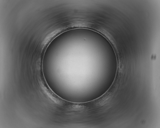 X0000113260437200909171653