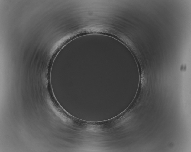 X0000113260438200909171653