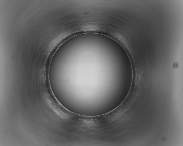 X0000113260439200909171653