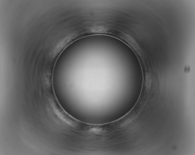 X0000113260441200909171653