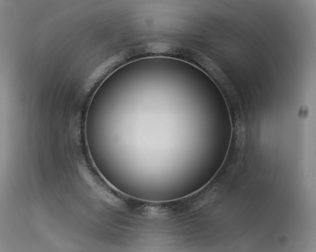 X0000113260442200909171653