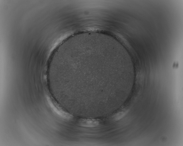 X0000113260443200909171653