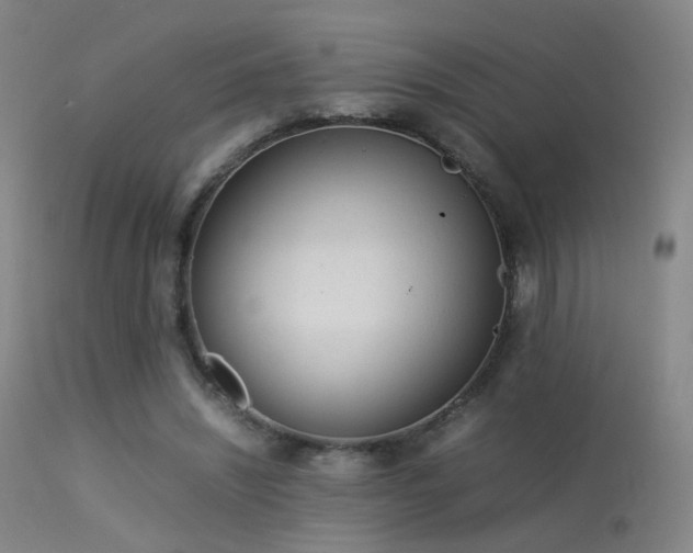 X0000113260444200909171653