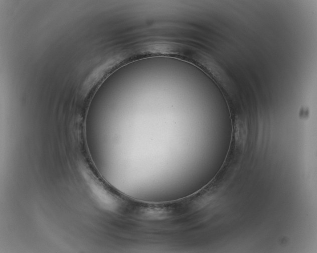 X0000113260445200909171653