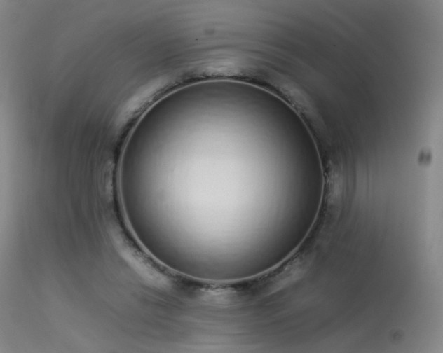 X0000113260446200909171653