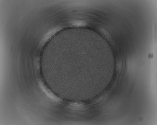 X0000113260447200909171653