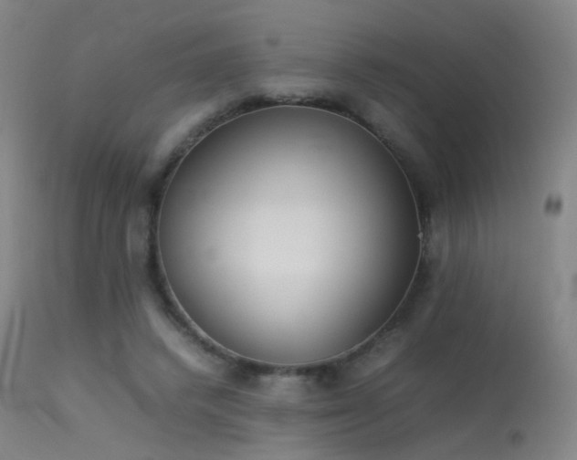 X0000113260448200909171653