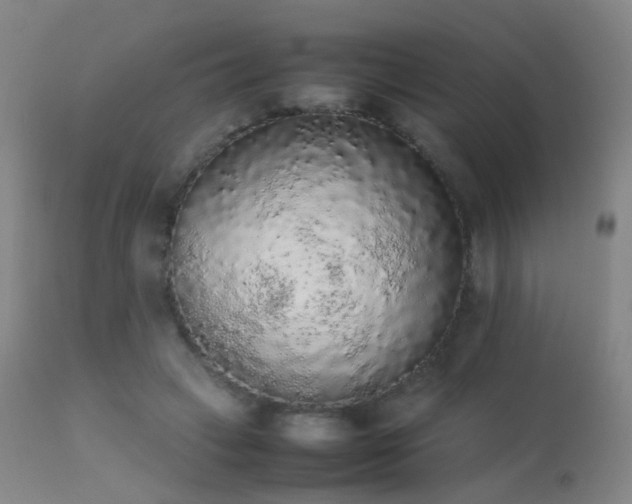 X0000113260449200909171653