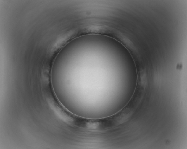 X0000113260450200909171653