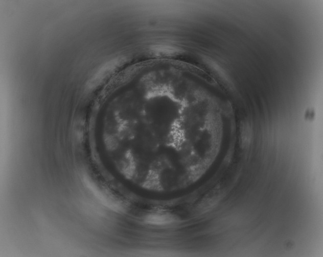 X0000113260451200909171653