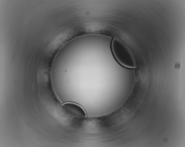 X0000113260452200909171654