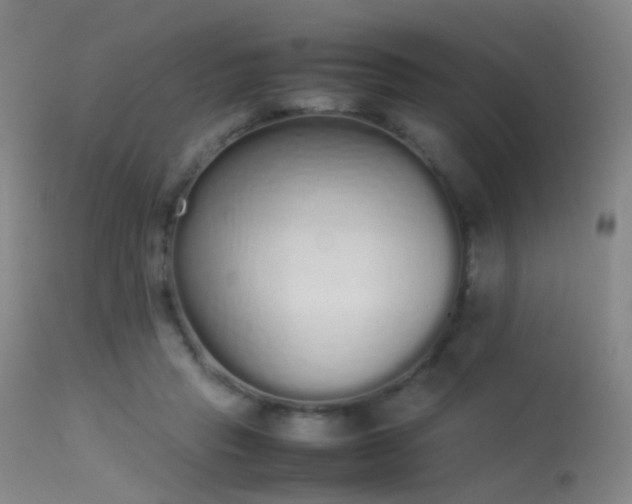 X0000113260453200909171654