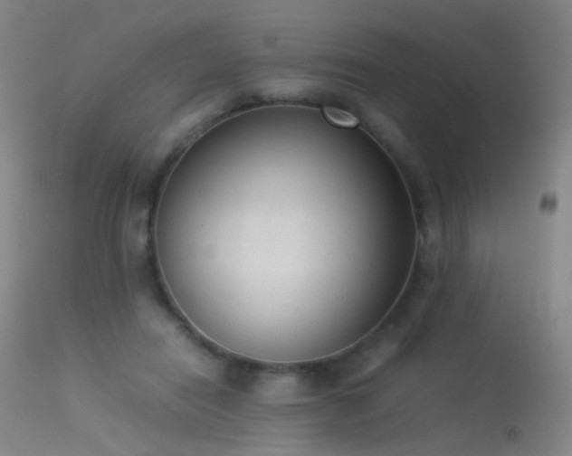 X0000113260454200909171654