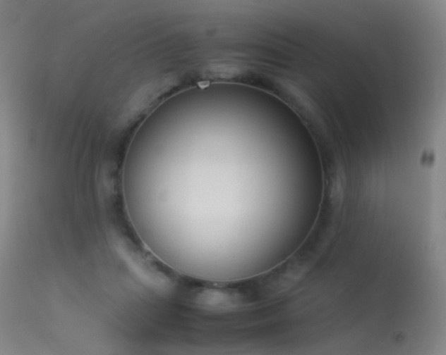 X0000113260455200909171654