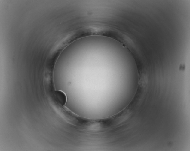 X0000113260456200909171654