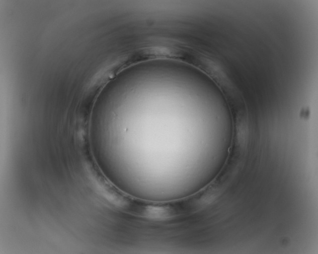 X0000113260457200909171654