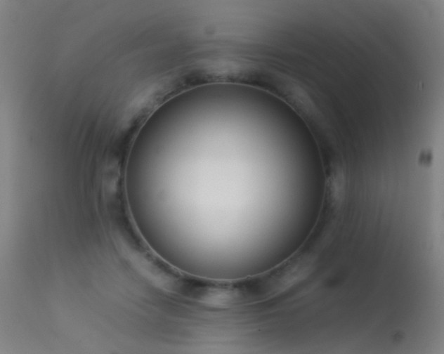 X0000113260458200909171654