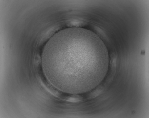 X0000113260459200909171654