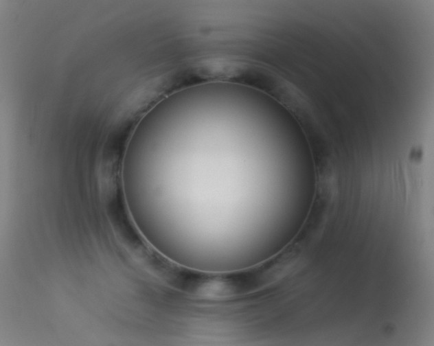 X0000113260460200909171654