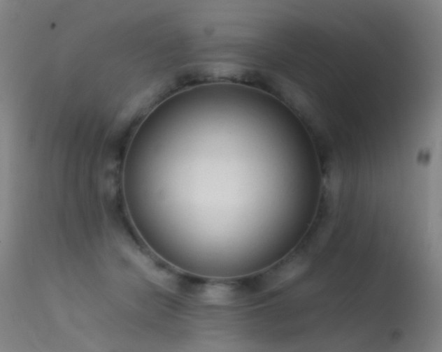 X0000113260462200909171654