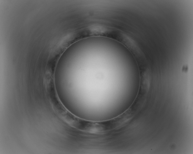 X0000113260463200909171654