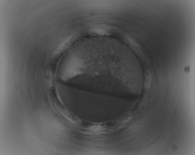 X0000113260465200909171654